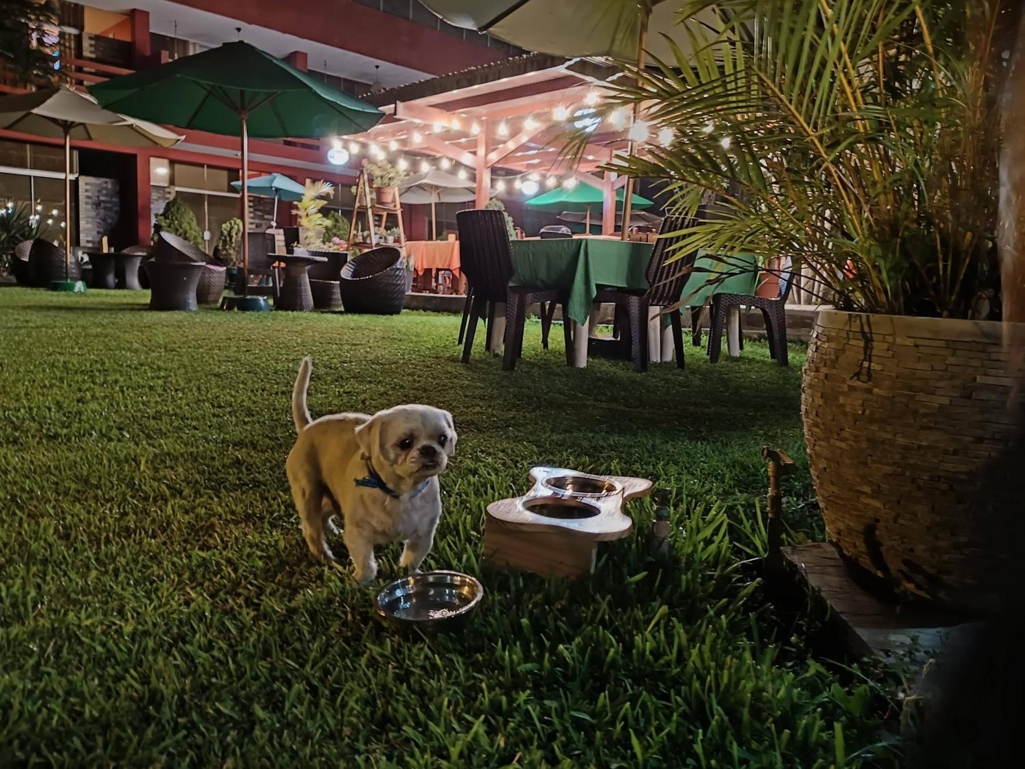 Huertalejandro Restaurante Campestre Y Hospedaje Cieneguilla Dış mekan fotoğraf